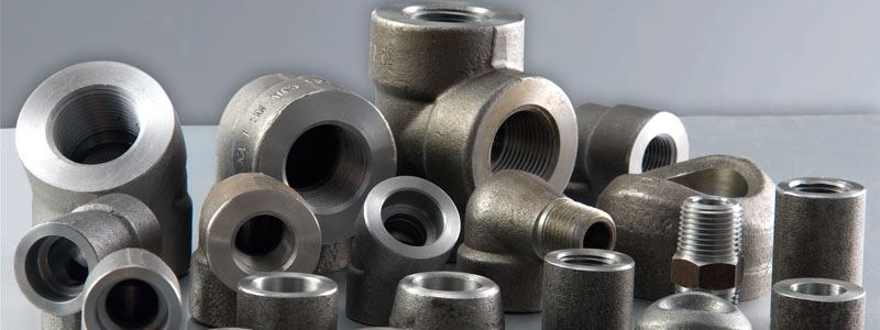 Stainless Steel Hydraulic Fittings Supplier in Mexico