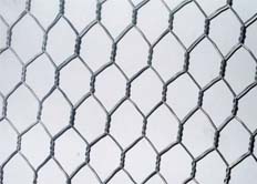 Round Hole Stainless Steel Wire Mesh Manufacturer in India