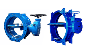 Titanium Double Eccentric Butterfly Valves Manufacturer in India