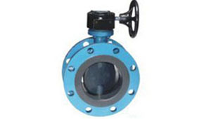 Titanium Fully Body Lining Butterfly Valve Manufacturer in India